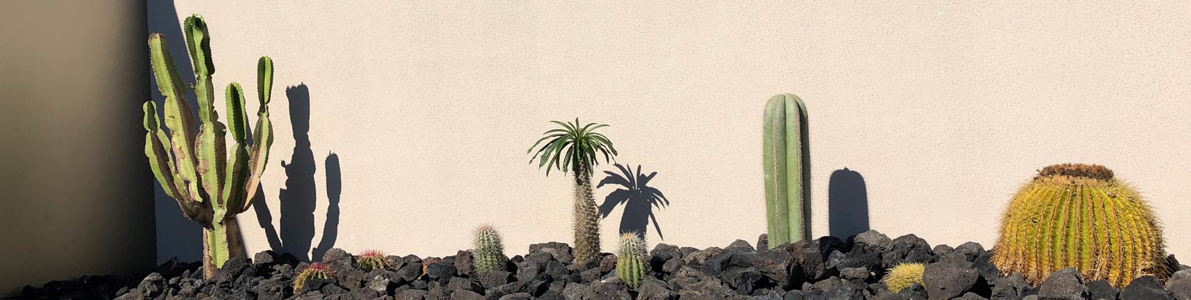 Frogbox Fashion SS22-Image