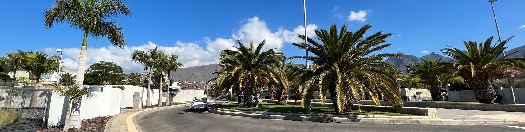 Frogbox Fashion SS22-Image